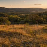 Absentee Texas landowner adverse possession risk — Texas Civil Practice and Remedies Code § 16.026 10-year statute