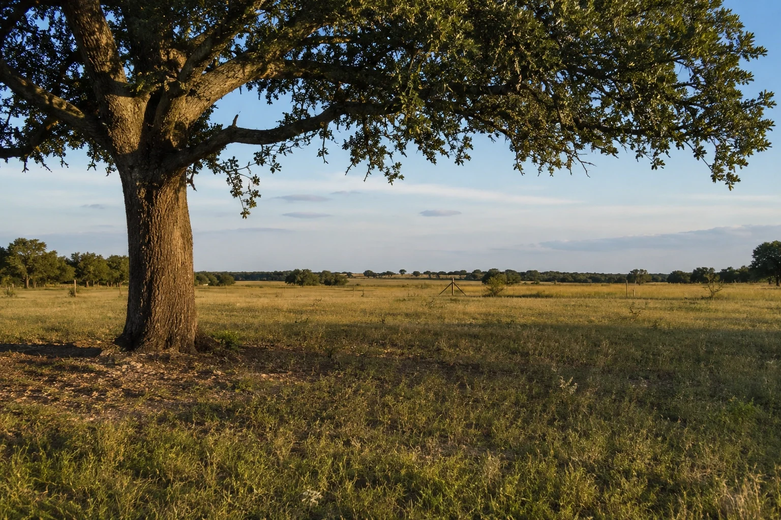 Sell inherited land Texas — out-of-state heir Texas Estates Code probate remote cash sale