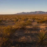 Arizona vacant land for sale to direct cash buyer — Cochise Mohave Yavapai all 15 counties