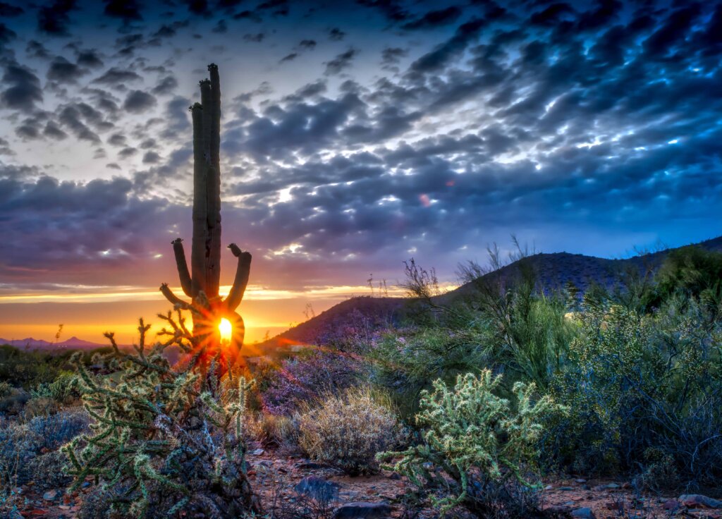 HBSB Holdings - Arizona Cash House Buyers - Sell Your Home Fast