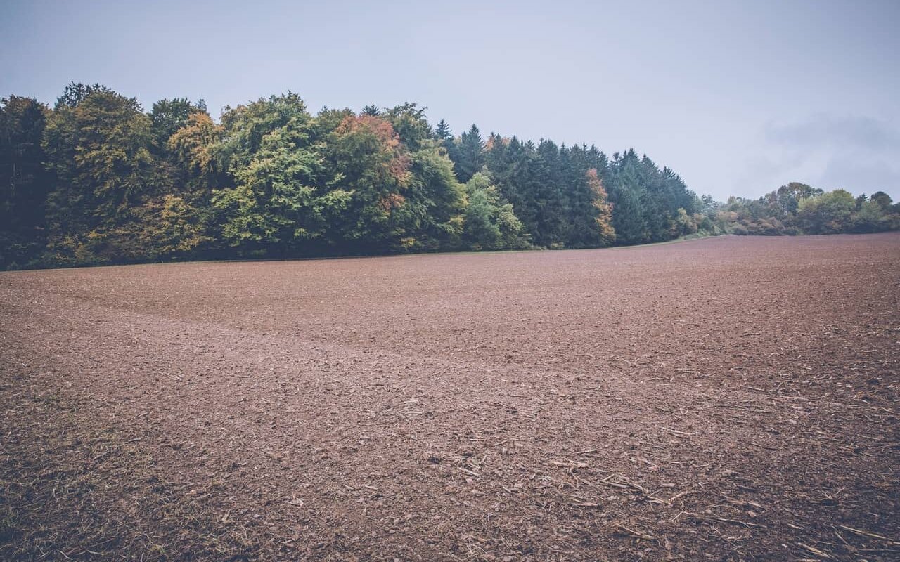 Sell My Land Georgia
