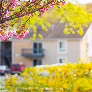 Best and Worst Times of the Year to Sell a House Florida