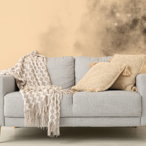 Sell House With Mold