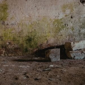 Sell House With Mold Florida