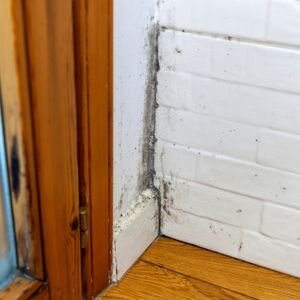 Sell a House With Mold Florida