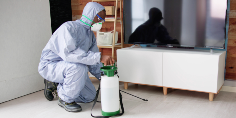 Can You Sell a Home With Termites In Florida