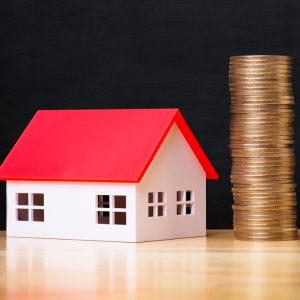 Selling a House With a Termite Problem In Florida