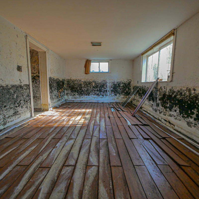 Sell House ASAP with mold Greensboro