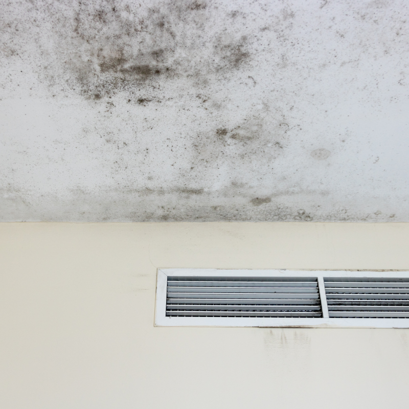 Sell House as is with mold Greensboro