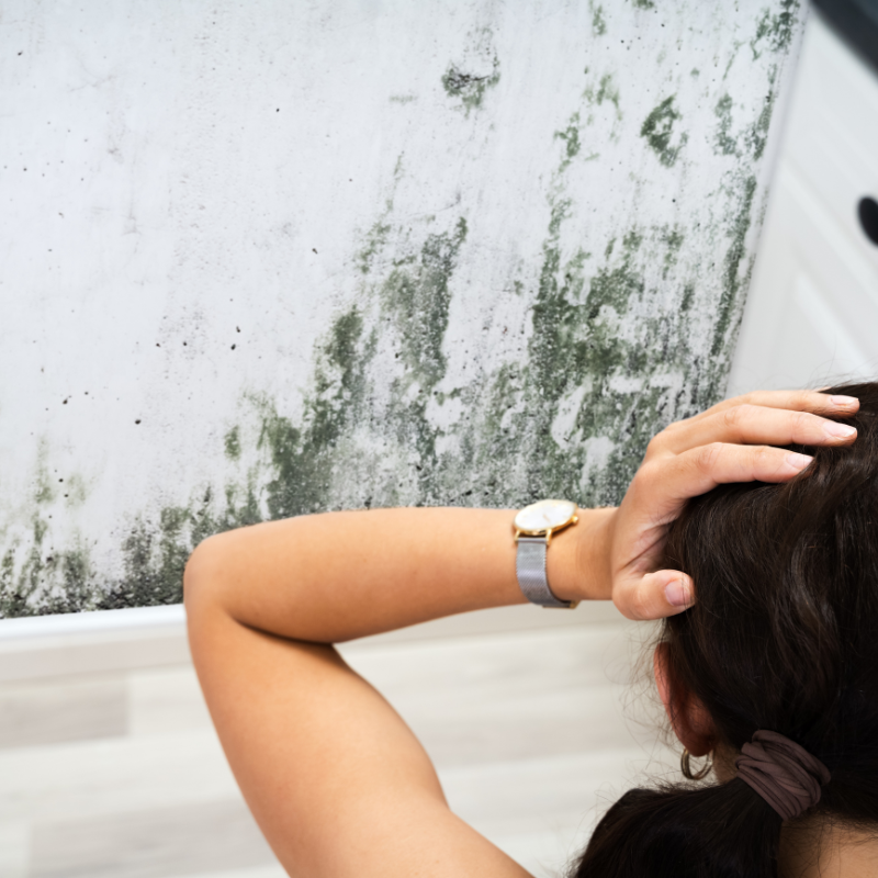 Sell My Home Fast with mold Greensboro