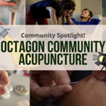 octagon community acupunture