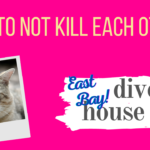 Selling a house during a divorce San Francisco East Bay Area