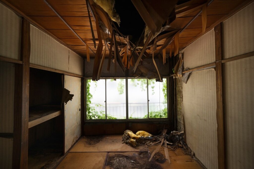 damage inside the house