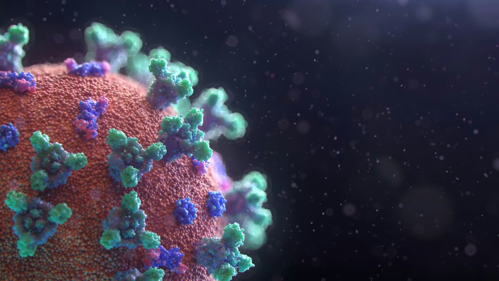 visualization of the coronavirus