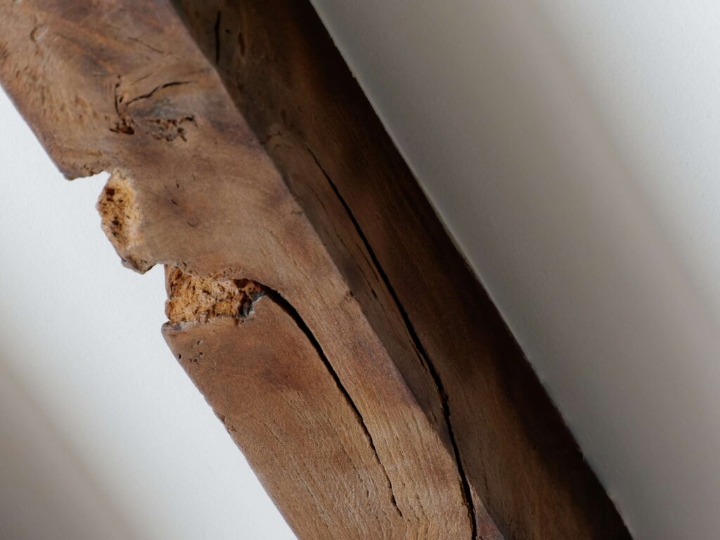 damaged piece of wood