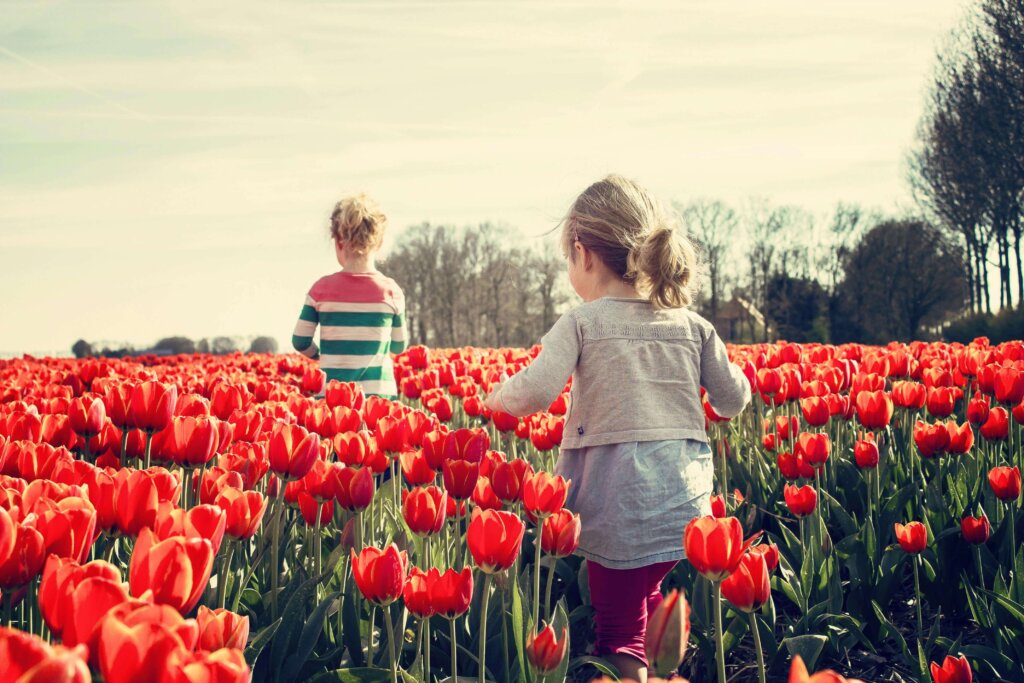 kids walking on tulip garden