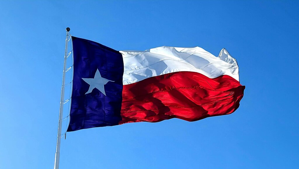 the Texas flag