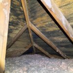 mold damage in attic