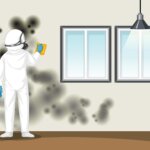 house mold
