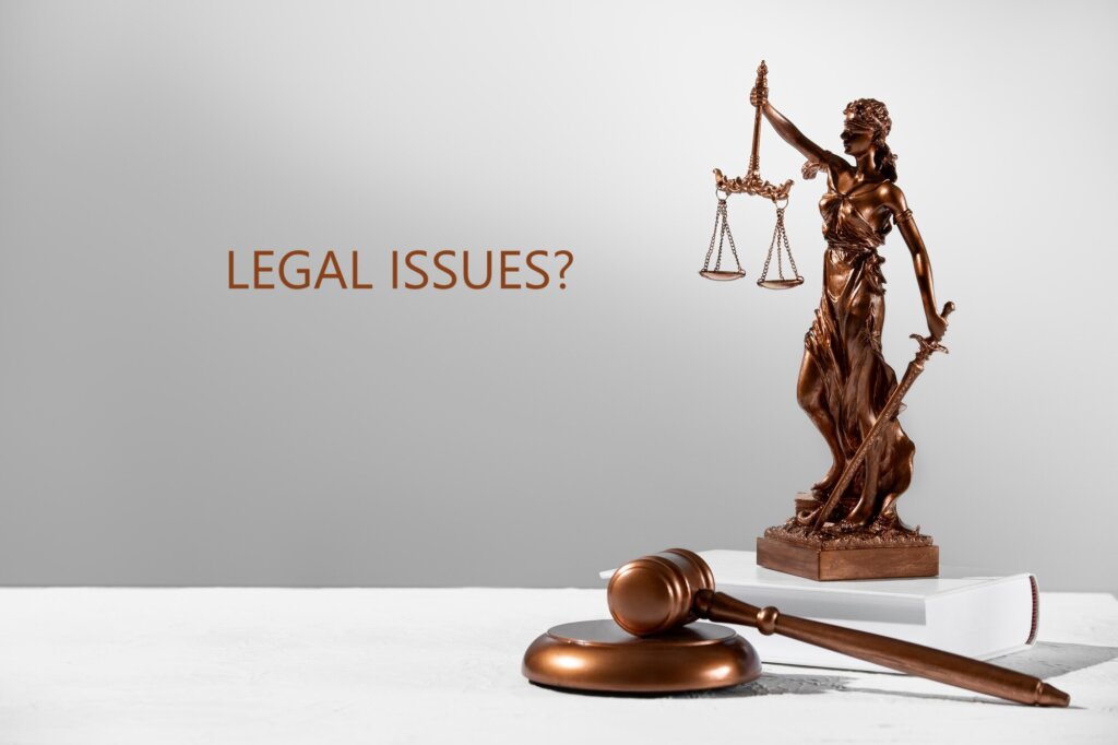 legal issues when selling with leaky roof