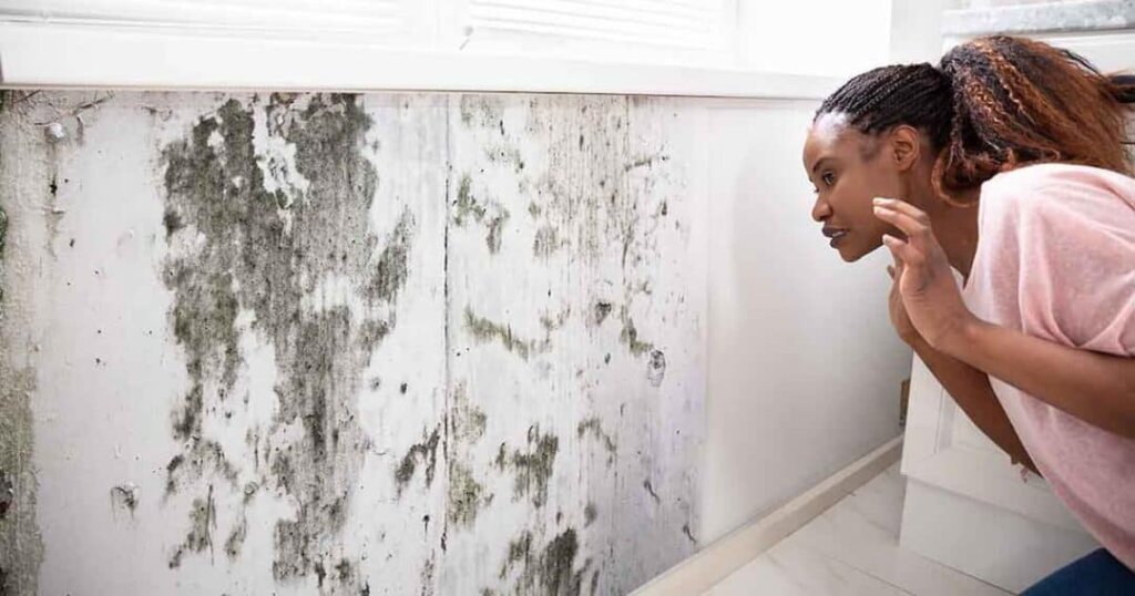 health issues considered when evaluating black mold during a home sale