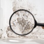 contractor evaluations help determine severity and cost of necessary mold-related repairs