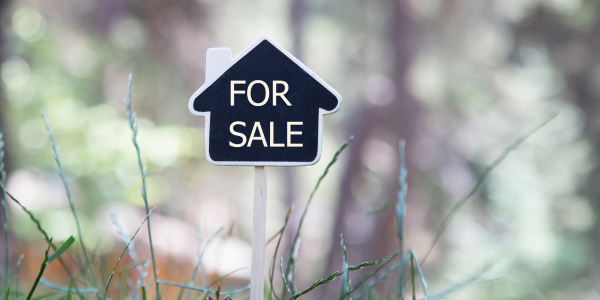 A for sale sign stands tall in a patch of green grass, signaling a property available for purchase