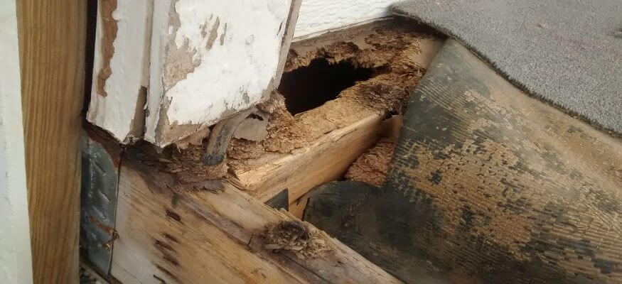 sell my house fast knoxville