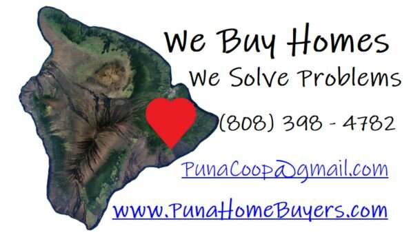 Puna Home Buyers LLC  logo