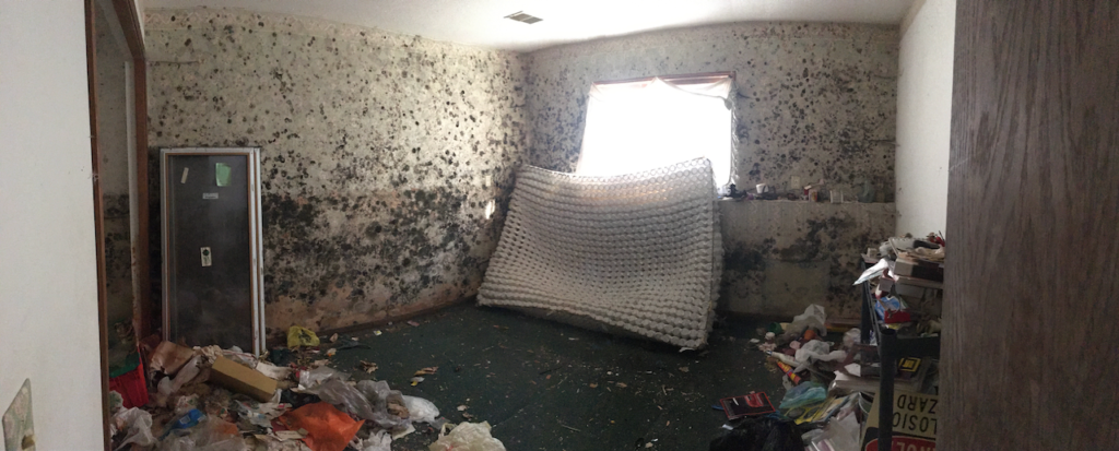 Mold invaded the walls and belongings of Meg's home.