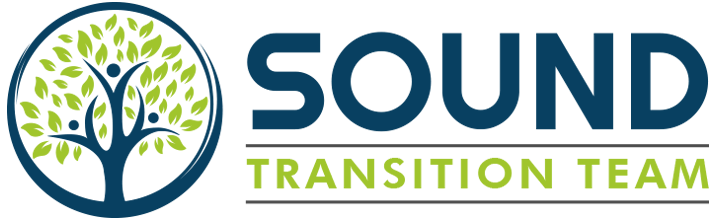 Sound Transition Team logo
