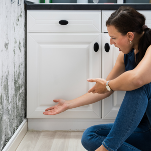 Sell House With Mold in Alabama