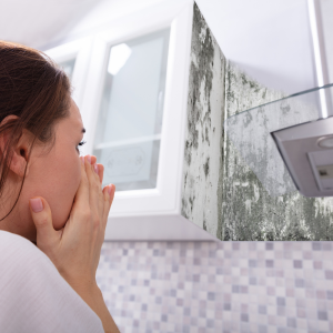 Sell a House With Mold in Alabama