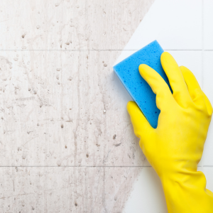 Selling a House With Mold in Alabama