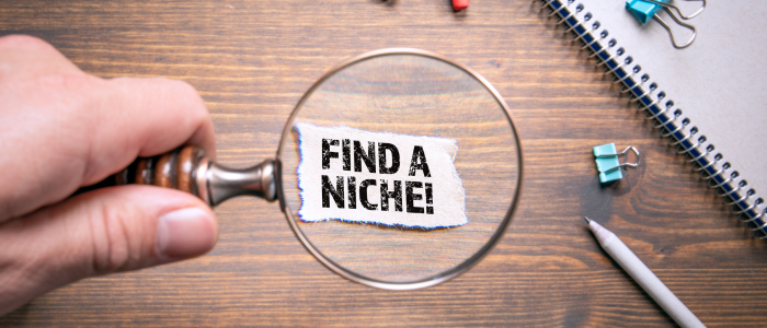 Niche Marketing for Texas Real Estate Deals