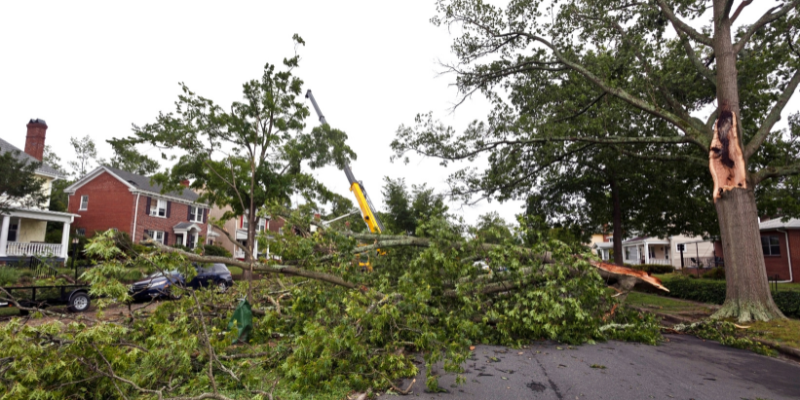 Selling a House with Storm Damage Guide To Selling After a Natural Disaster