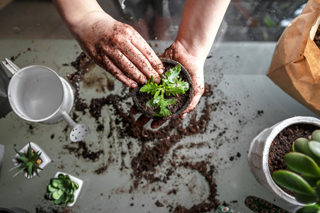 Have you wondered how your green thumb can increase the value of your home?
