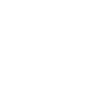 FOX logo