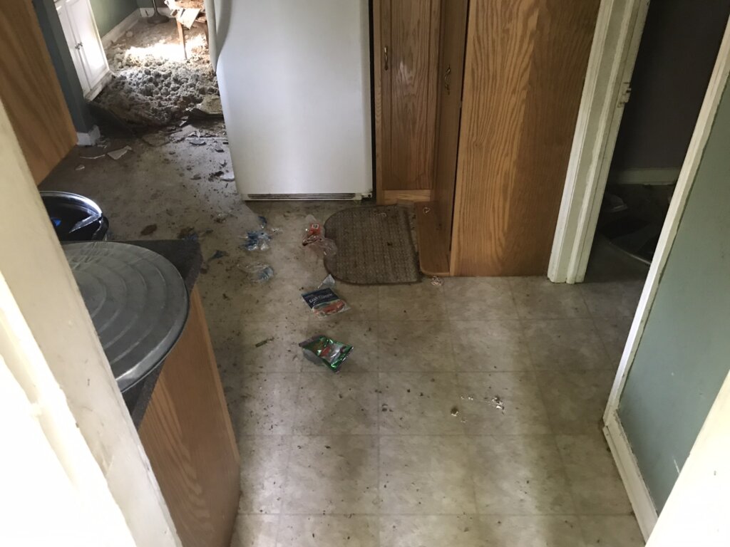 House with a messy basement bought for cash