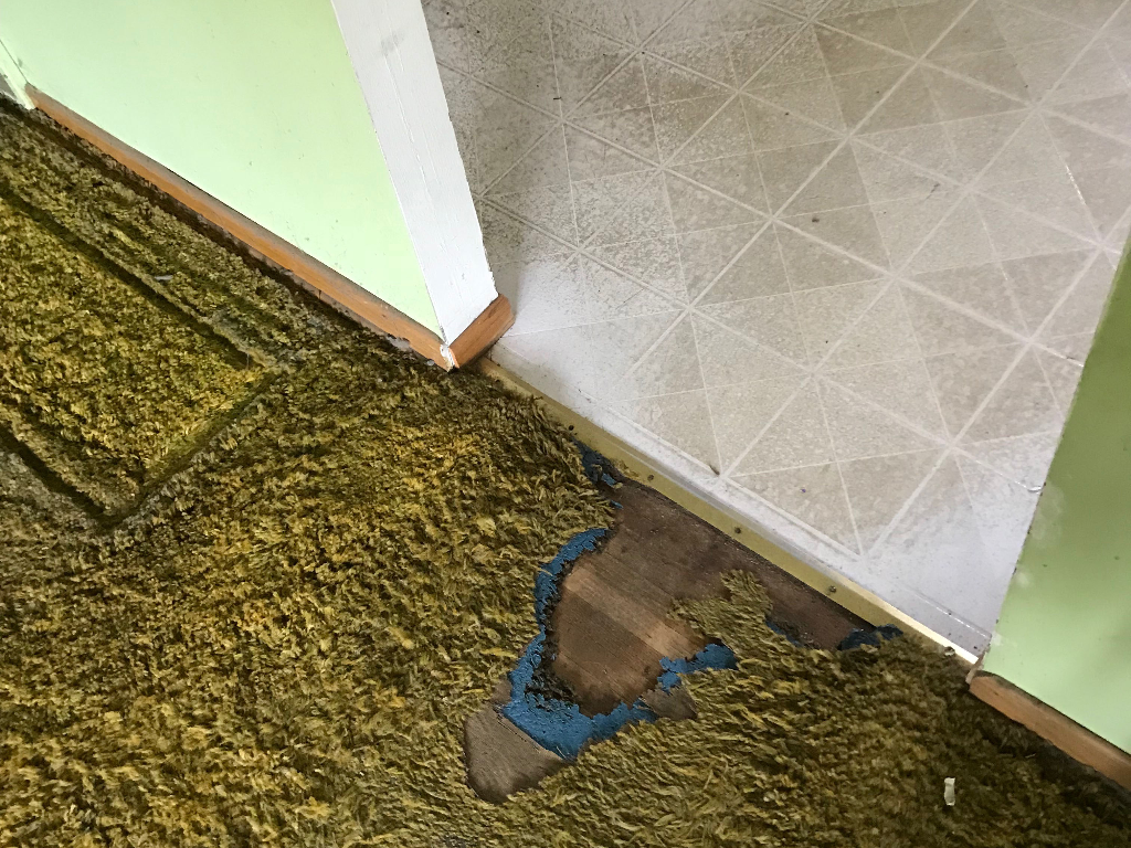 The carpet of an Andover home we bought for cash