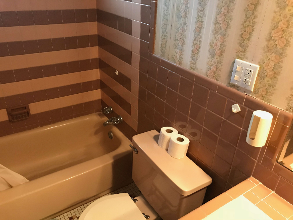 Bathroom in a Buffalo Home