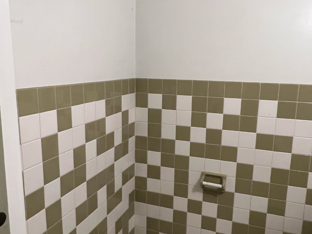 Old shower tile in a Columbia Heights home