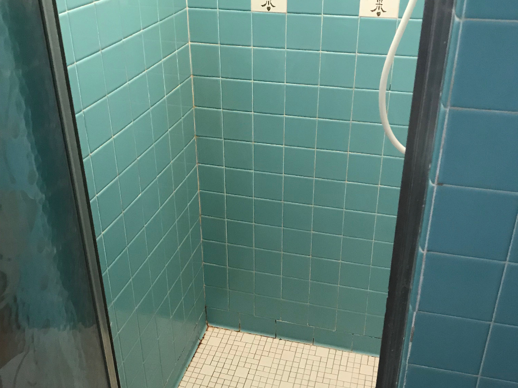 We buy houses with dirty bathrooms