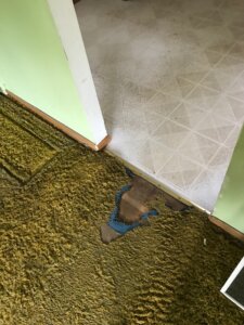 The Flooring of a house Bought As Is in Minneapolis