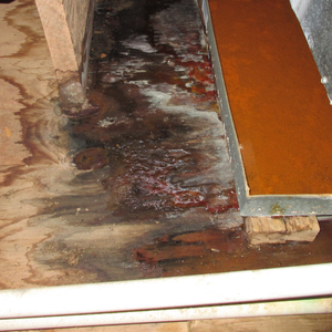Steps to Selling a House With Water Damage North Carolina