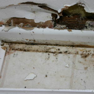 Property Damage Linked to Tenant In Washington