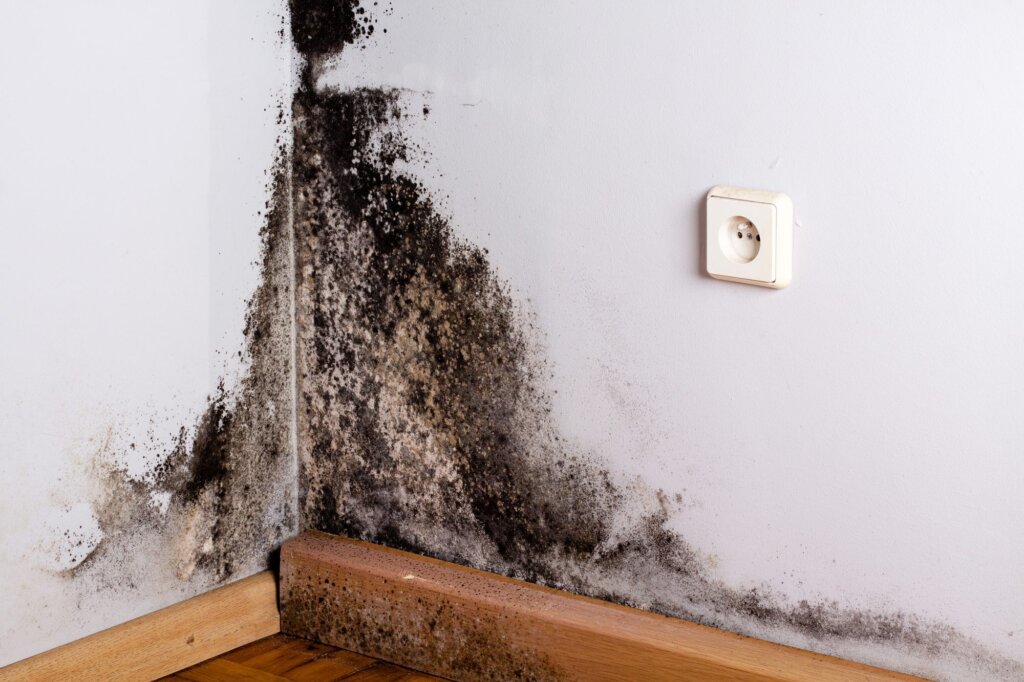 Selling a house with mold in Tacoma, WA