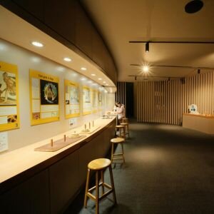 Complimentary Attractions Tacoma