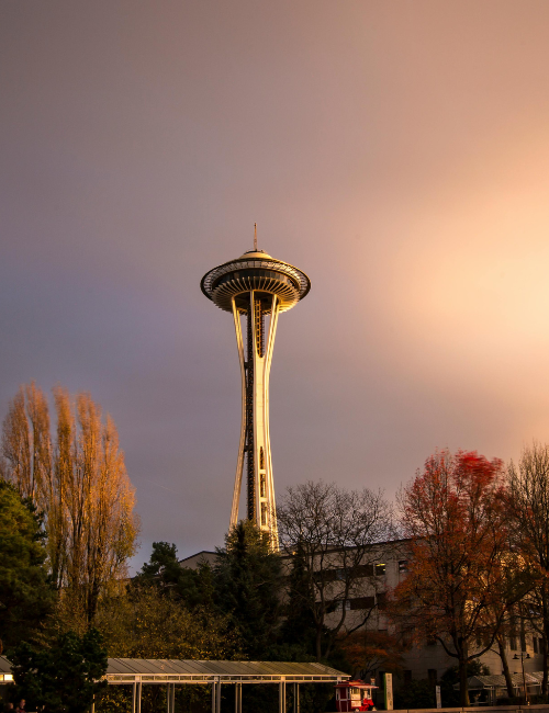 Fast House Buyer Seattle