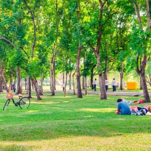 Free Activities Tacoma